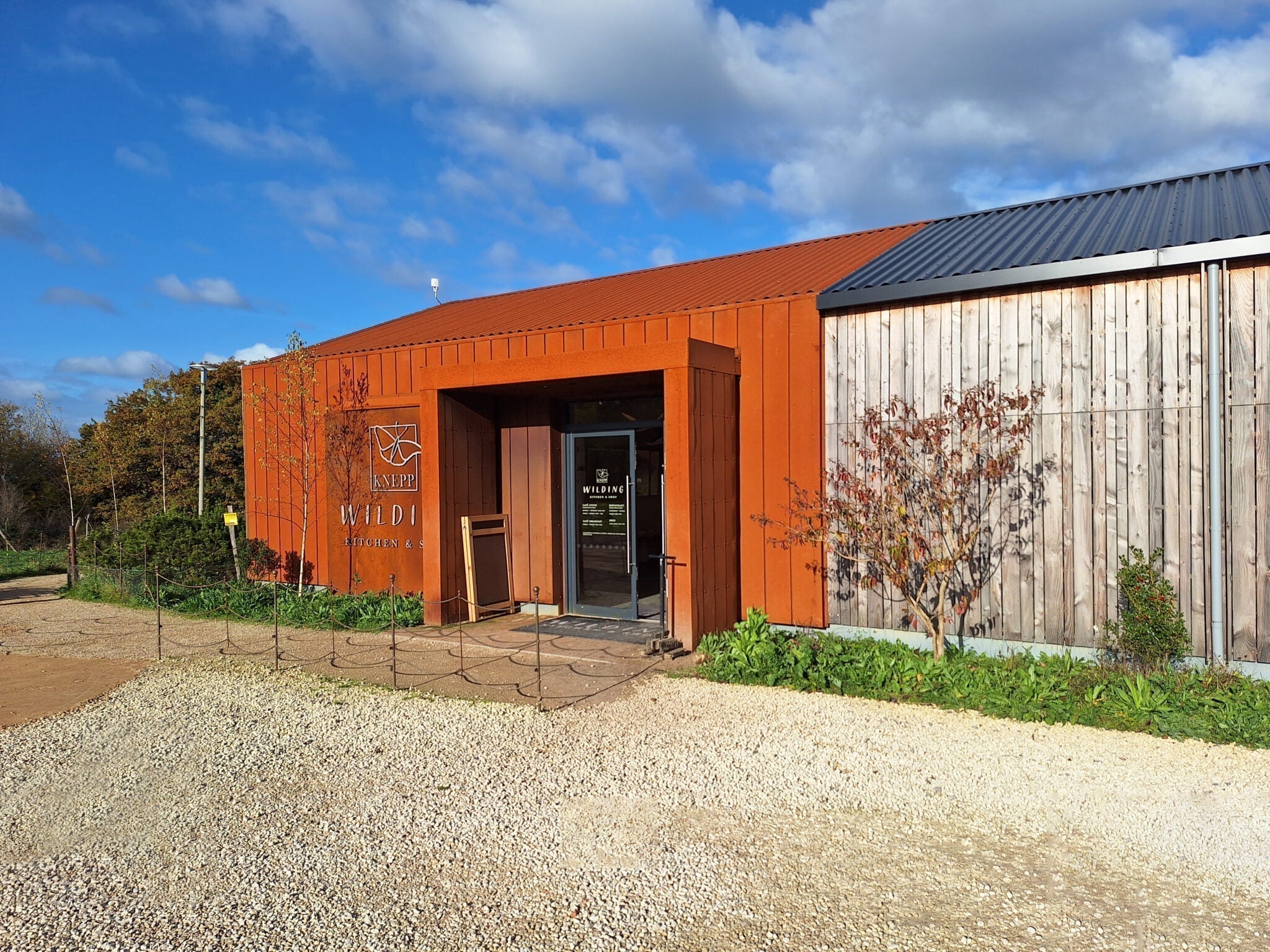 Why Knepp Wilding Kitchen Chose New Wood Trees