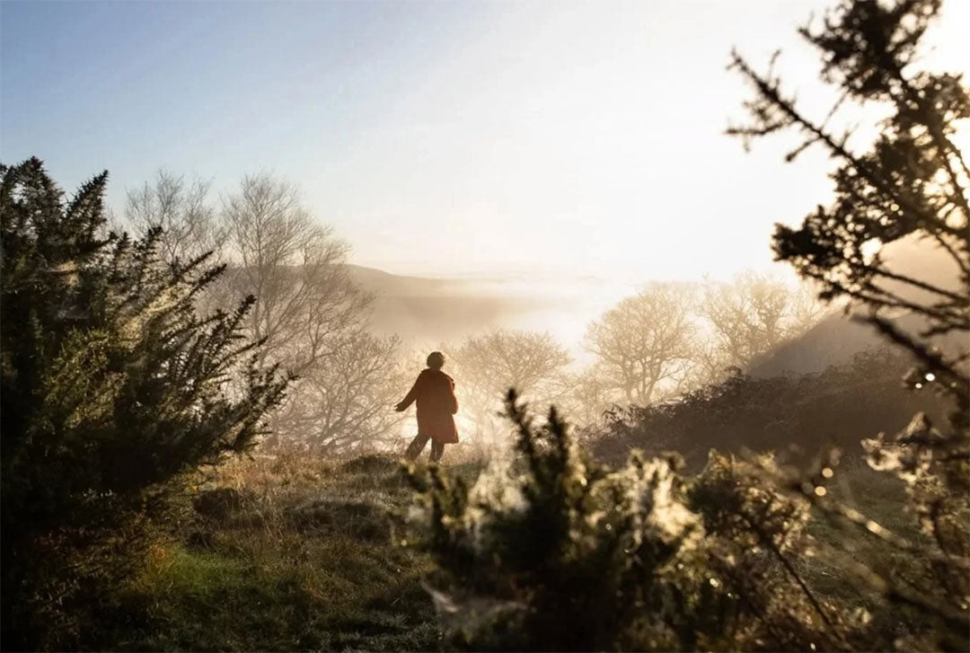 Trees with Character for the Field of Possibility