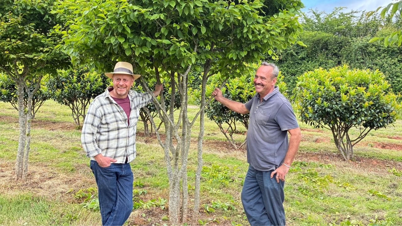 Our Nursery Featured on BBC Gardeners’ World: How We Prune Our Multi-stem Trees