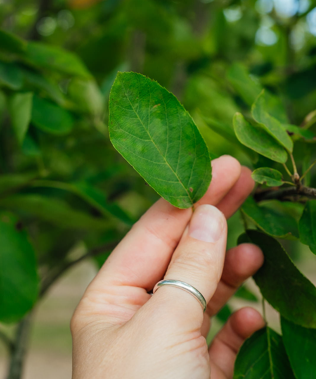 NWT 2024 Stock photos