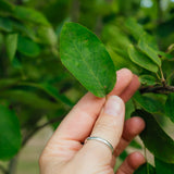 NWT 2024 Stock photos