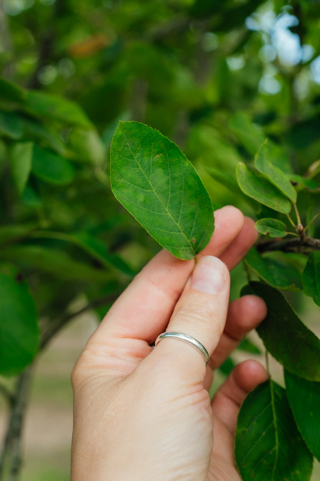 NWT 2024 Stock photos