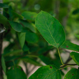 NWT 2024 Stock photos