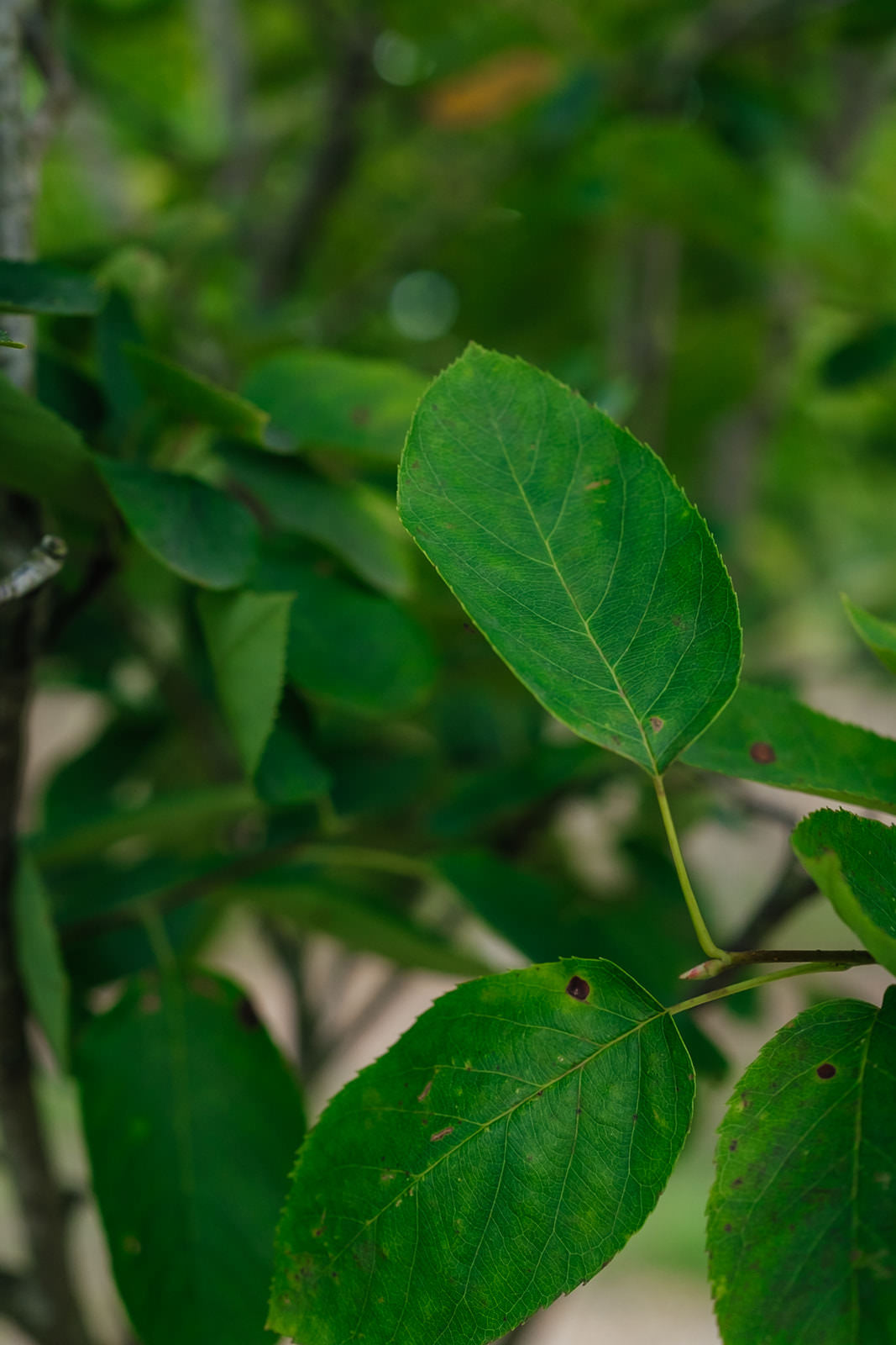 NWT 2024 Stock photos