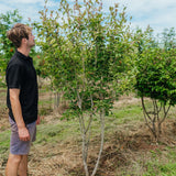 NWT 2024 Stock photos