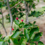 NWT 2024 Stock photos