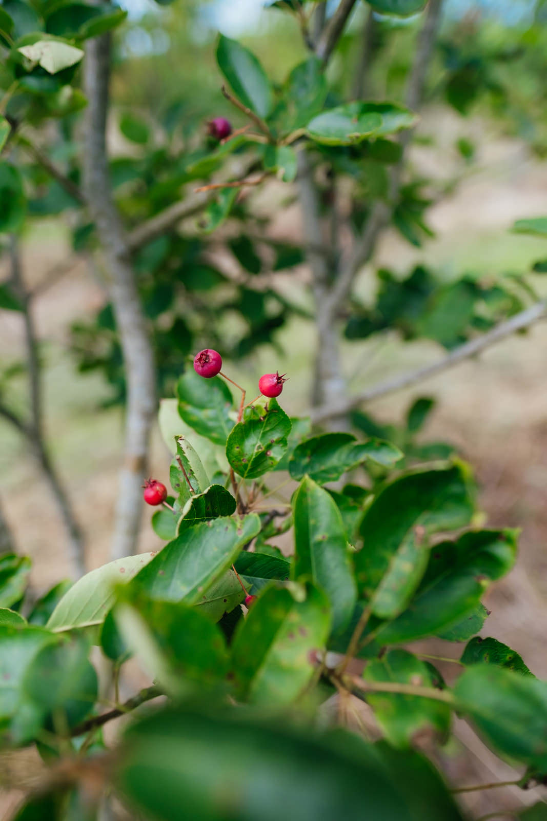 NWT 2024 Stock photos