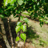 NWT 2024 Stock photos