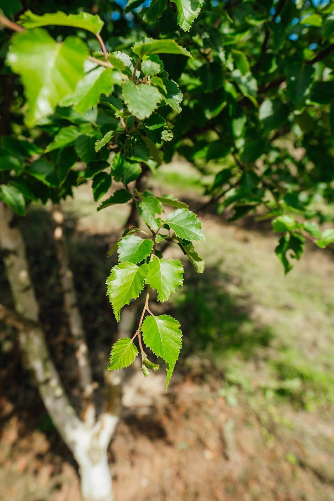 NWT 2024 Stock photos