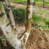 NWT 2024 Stock photos