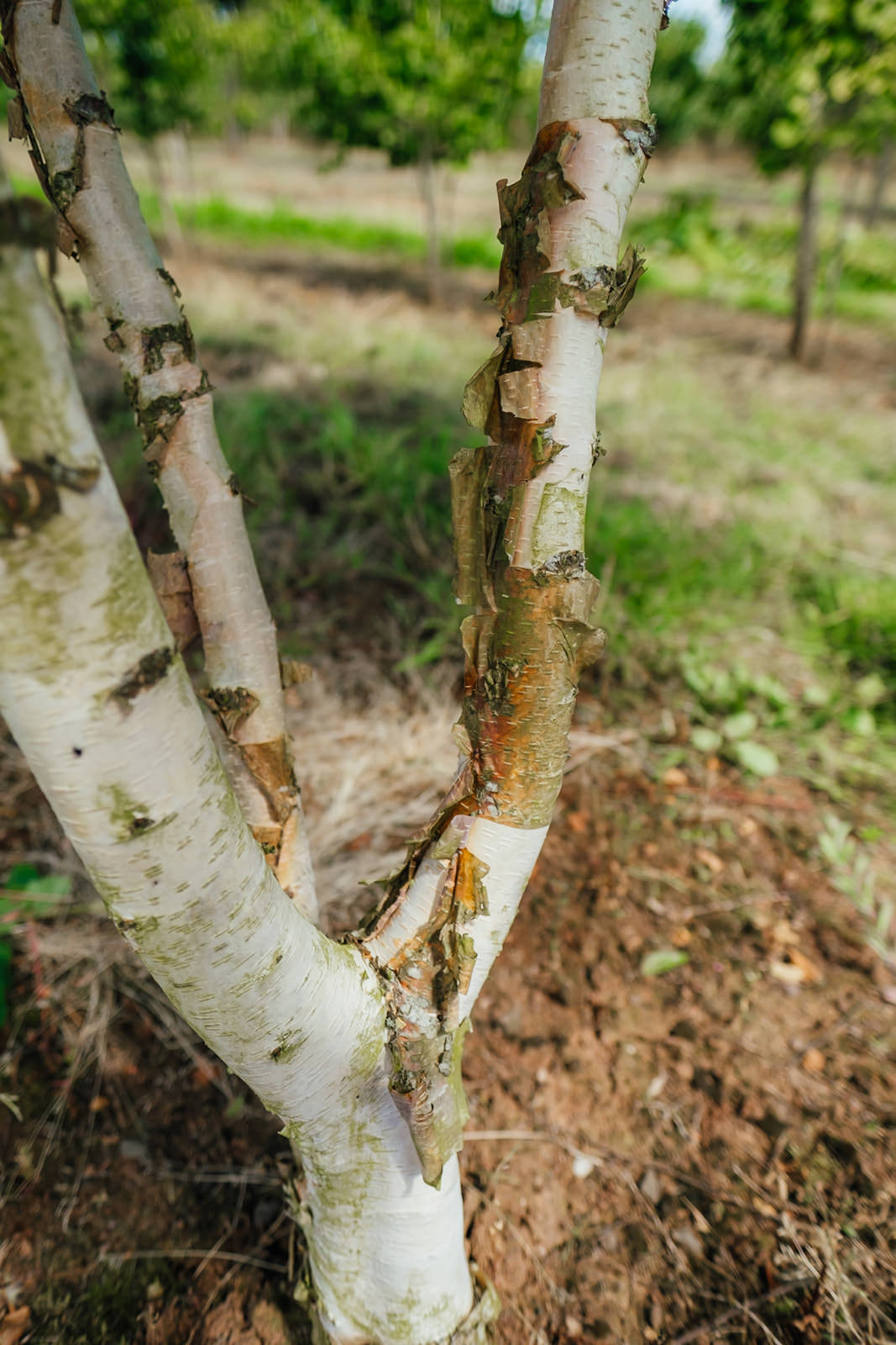 NWT 2024 Stock photos