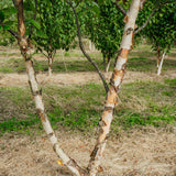 NWT 2024 Stock photos