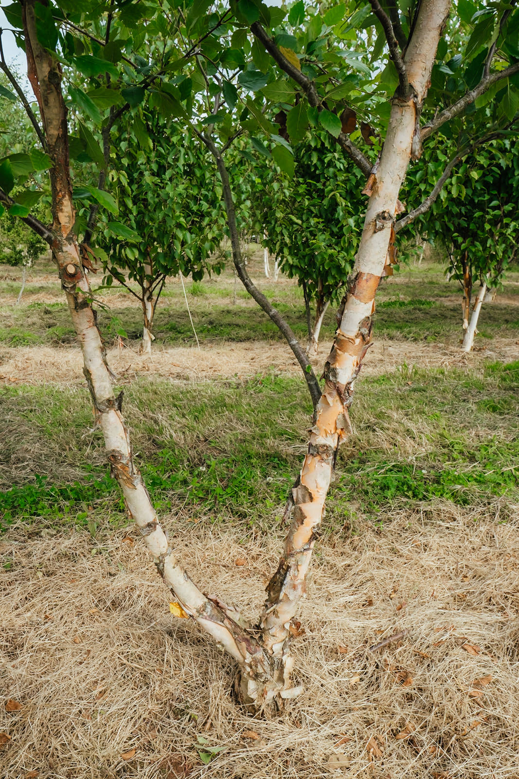 NWT 2024 Stock photos