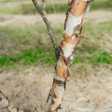 NWT 2024 Stock photos