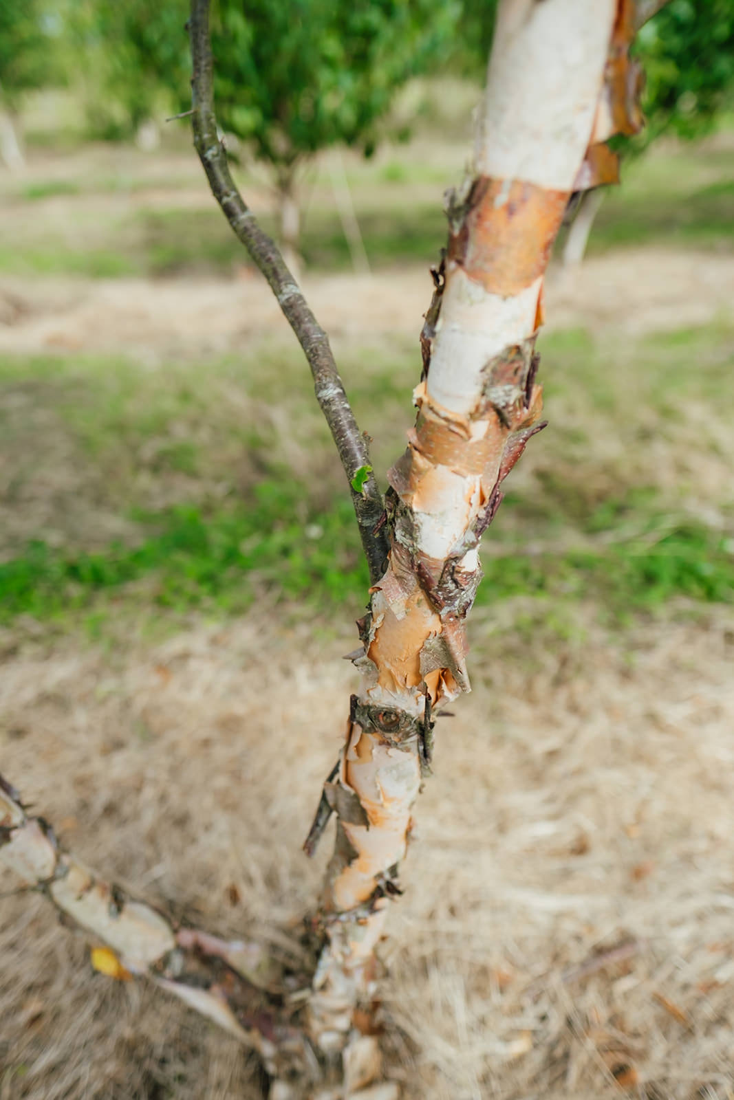 NWT 2024 Stock photos