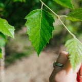 NWT 2024 Stock photos