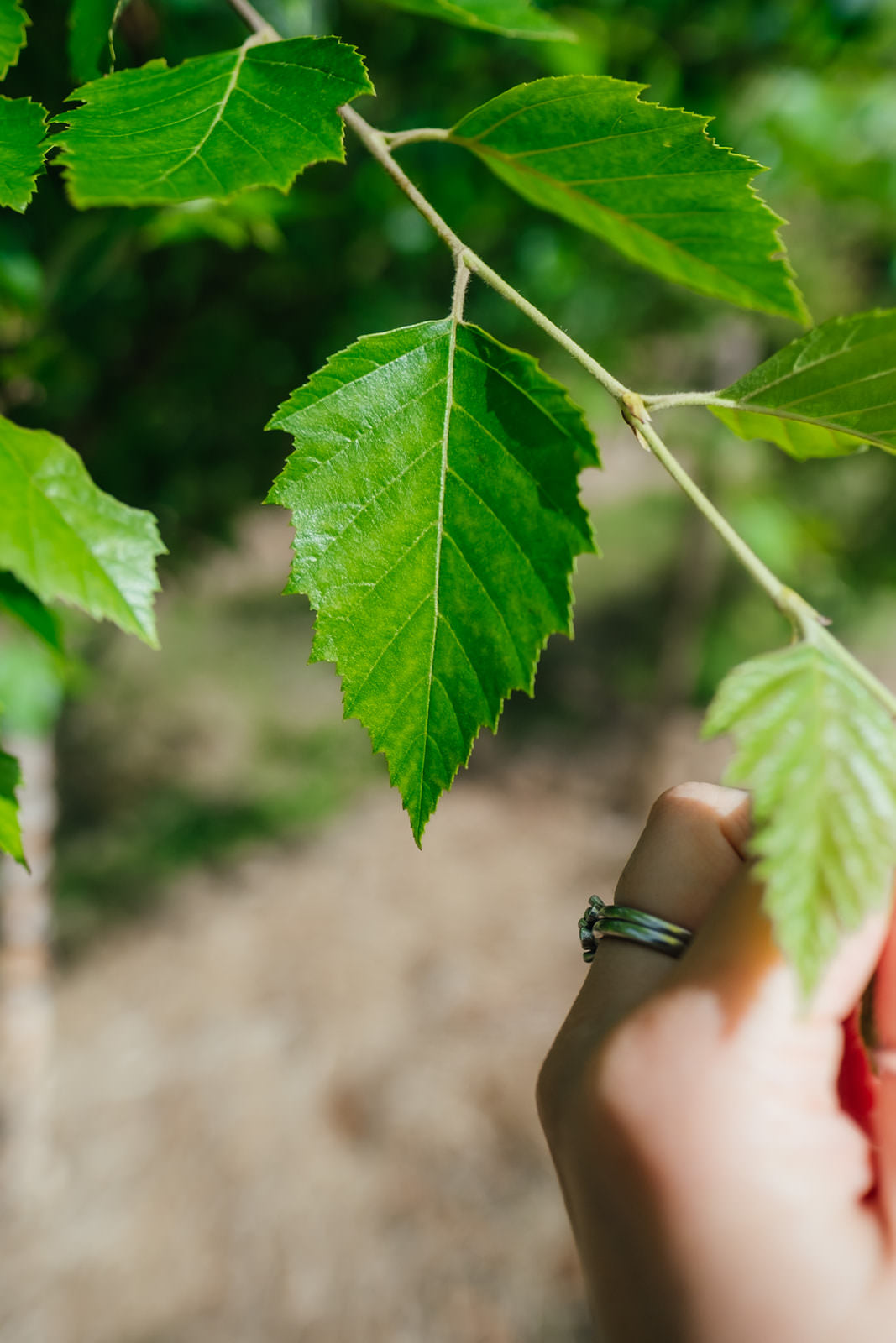NWT 2024 Stock photos