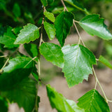 NWT 2024 Stock photos