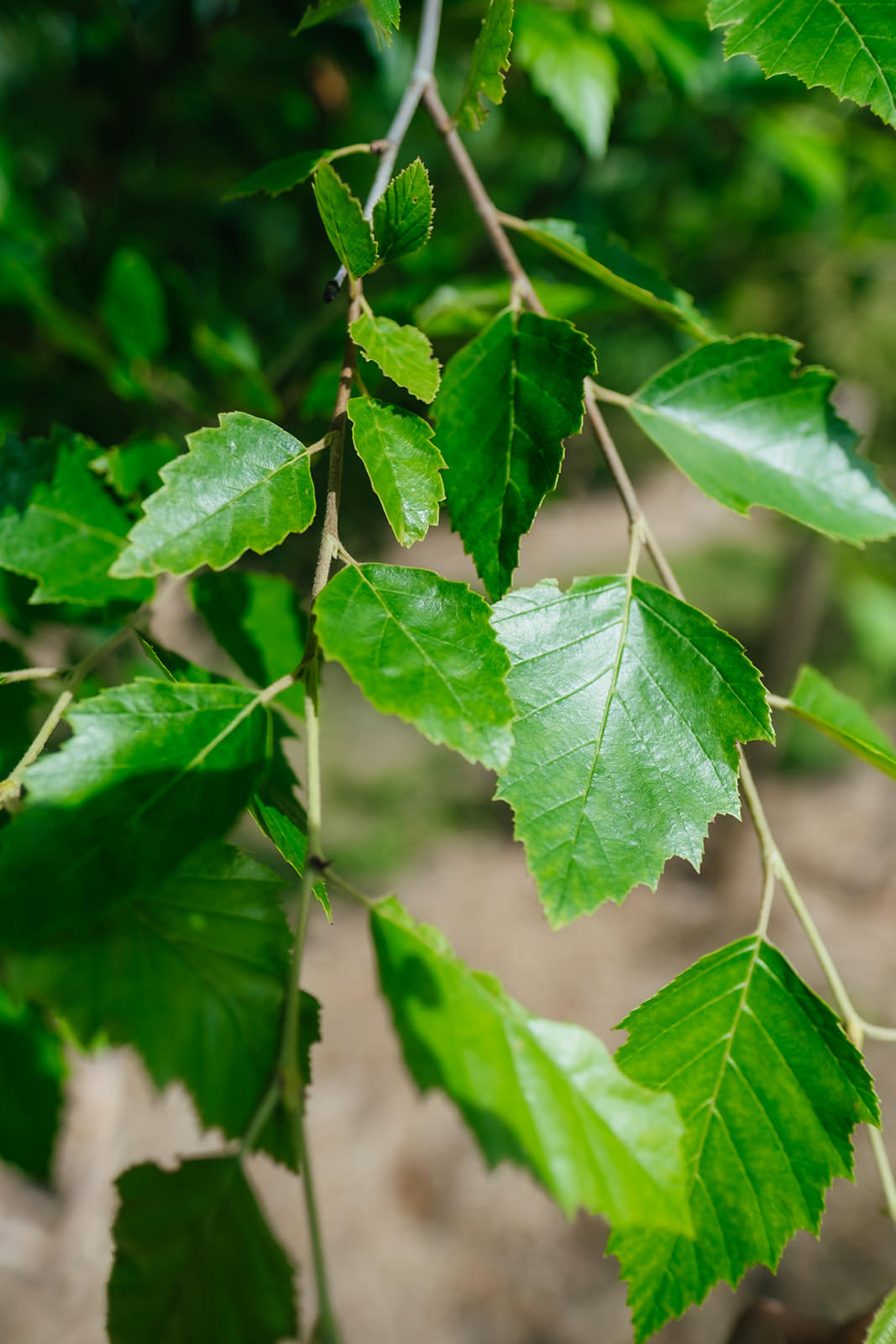 NWT 2024 Stock photos