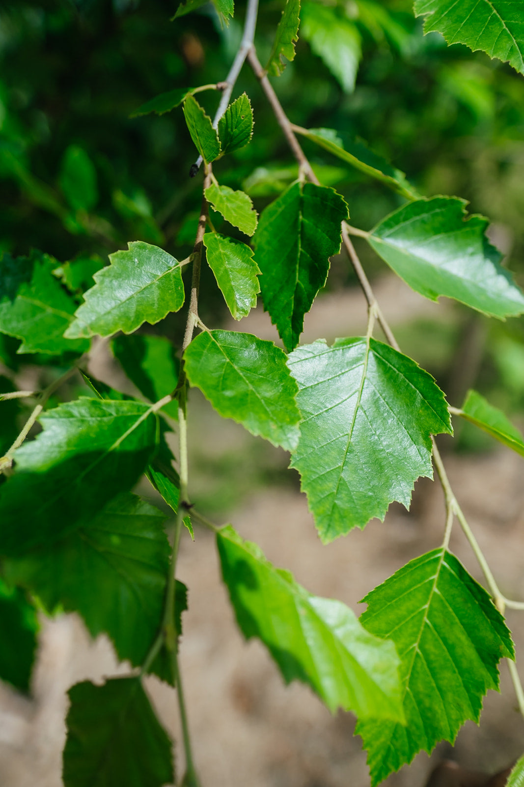 NWT 2024 Stock photos