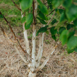 NWT 2024 Stock photos