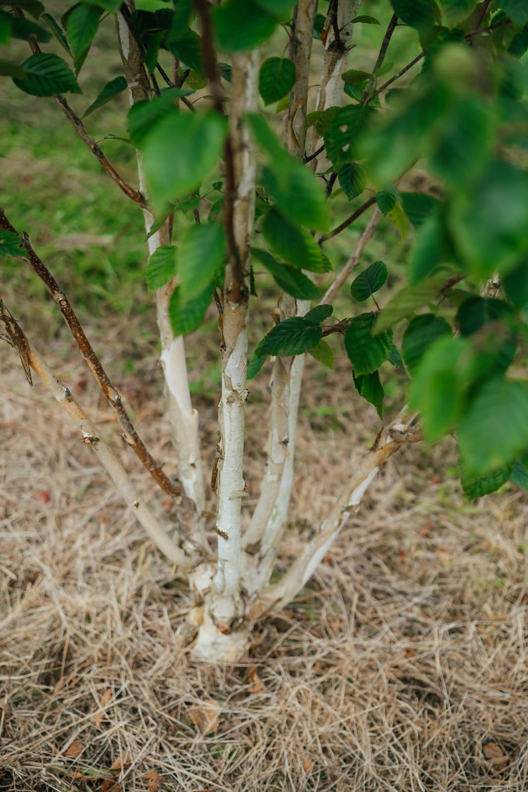 NWT 2024 Stock photos