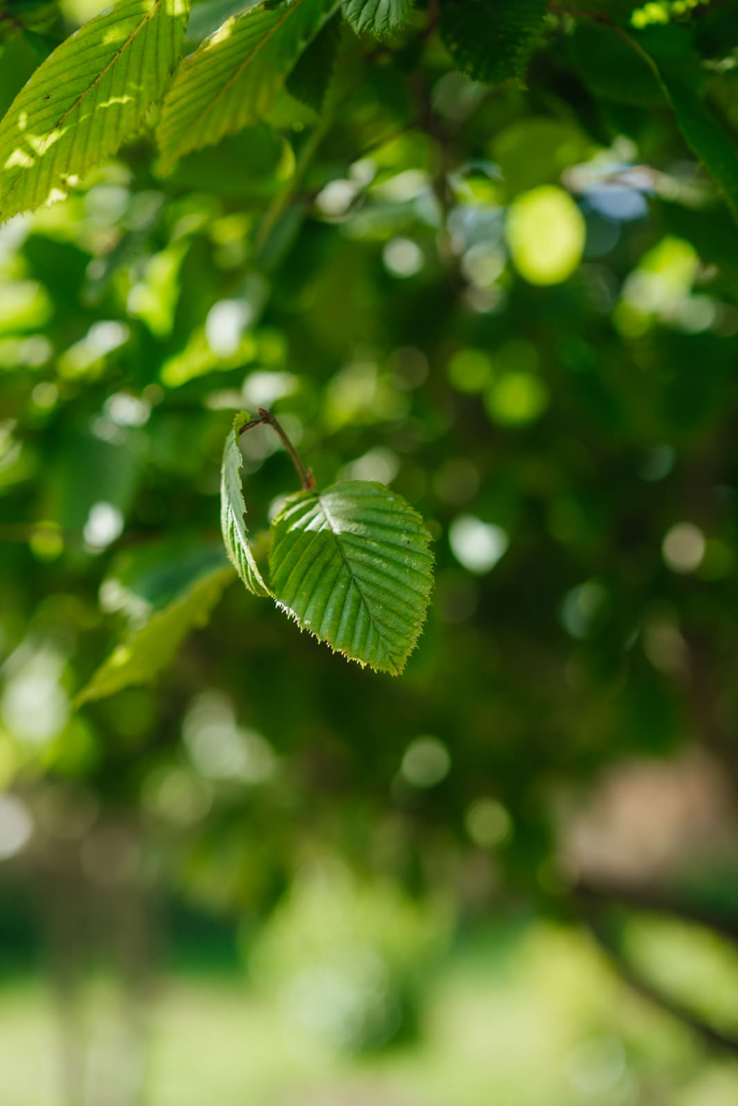 NWT 2024 Stock photos