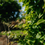 NWT 2024 Stock photos