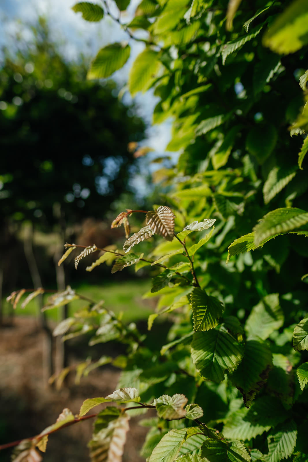 NWT 2024 Stock photos
