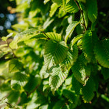 NWT 2024 Stock photos