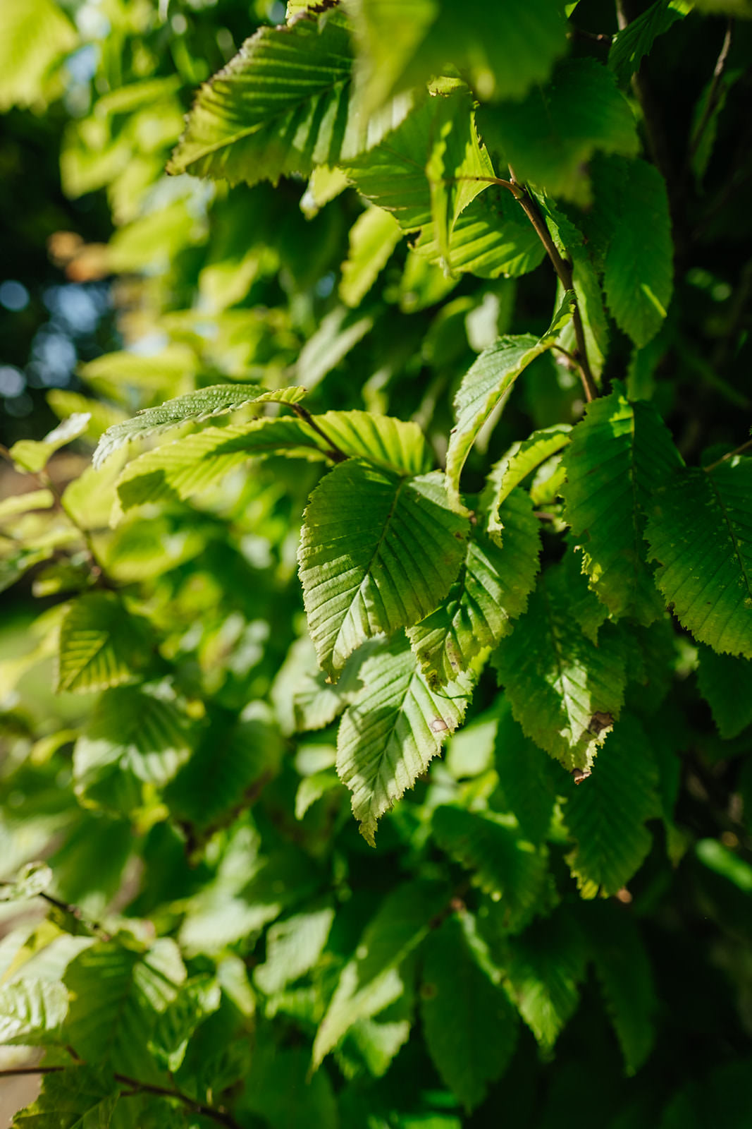 NWT 2024 Stock photos