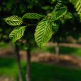 NWT 2024 Stock photos