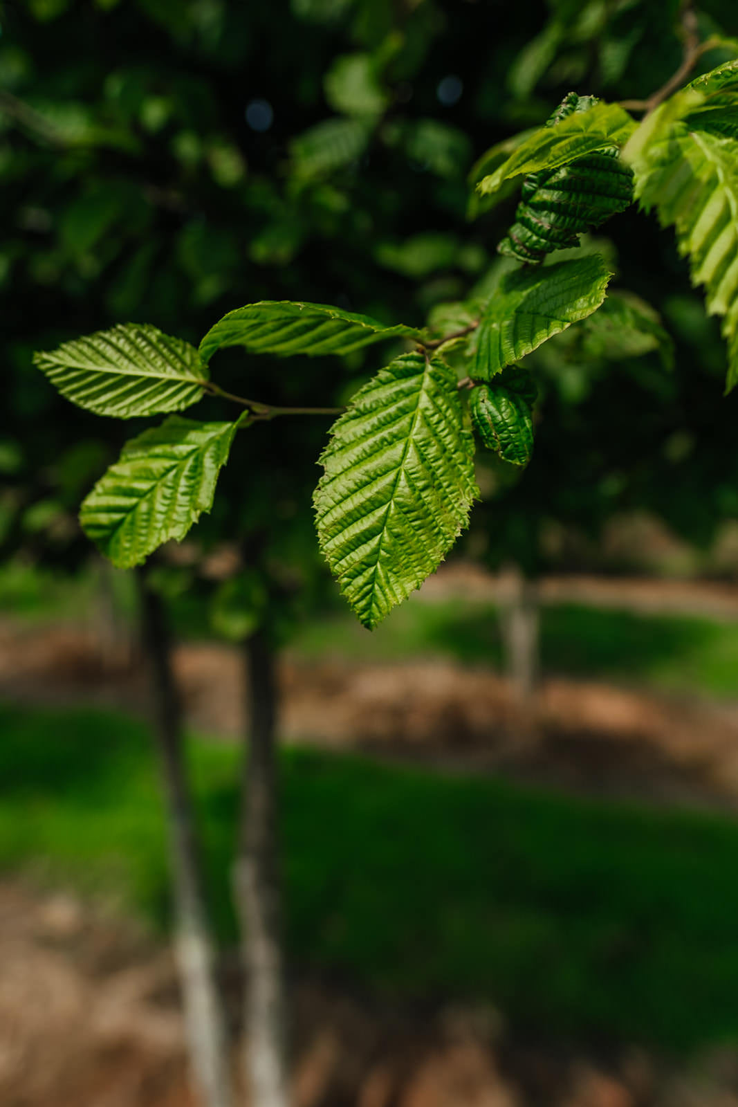 NWT 2024 Stock photos