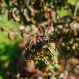 NWT 2024 Stock photos