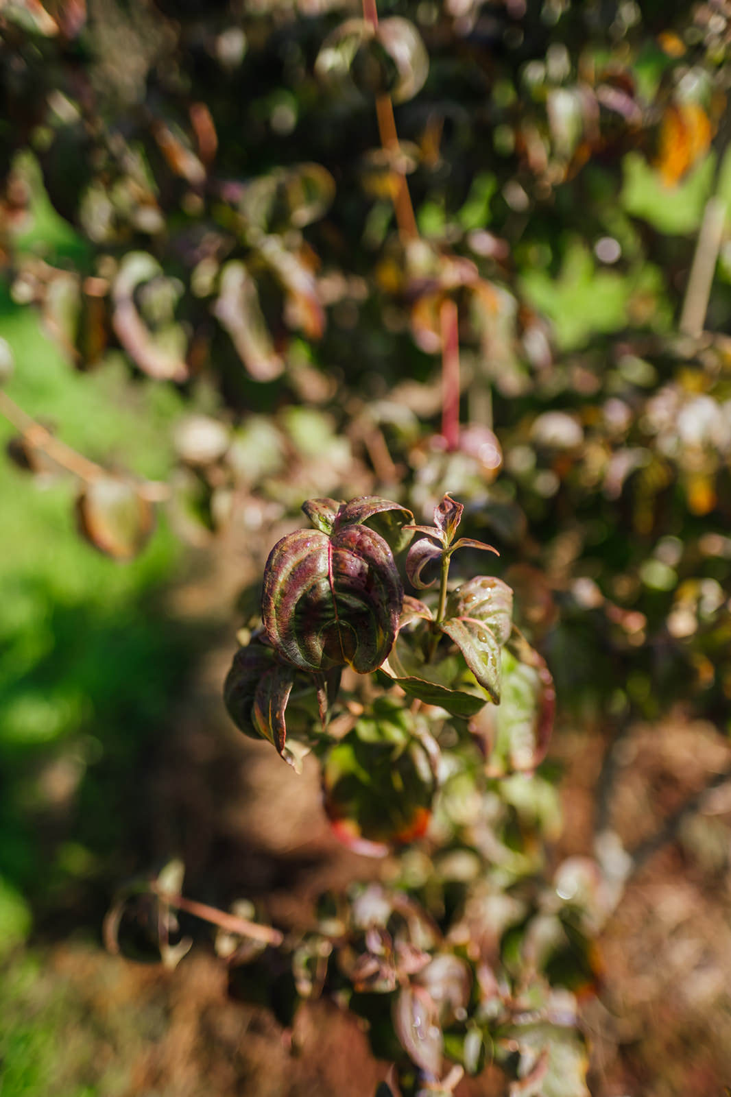 NWT 2024 Stock photos