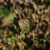 NWT 2024 Stock photos