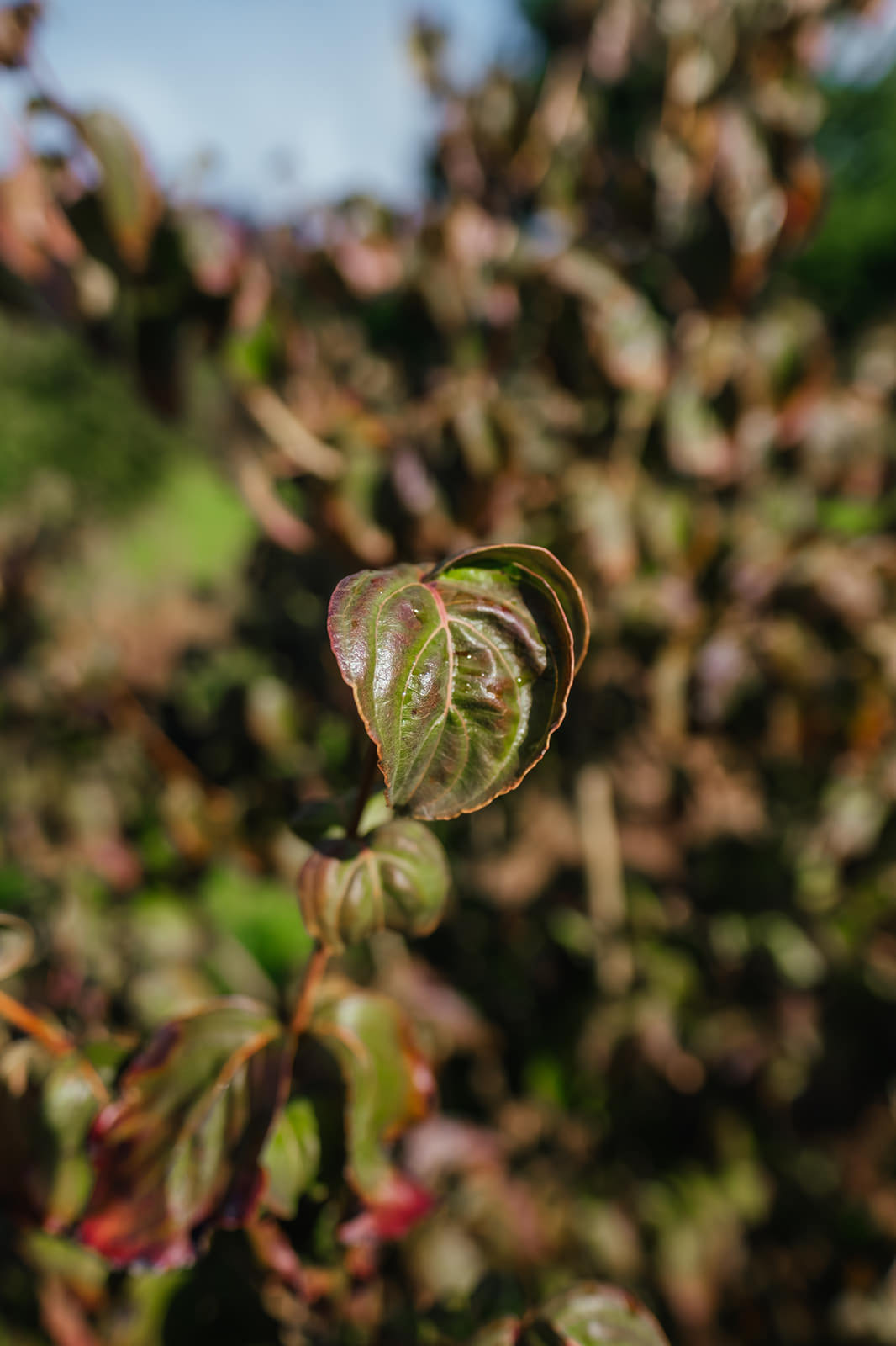 NWT 2024 Stock photos