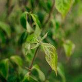 NWT 2024 Stock photos