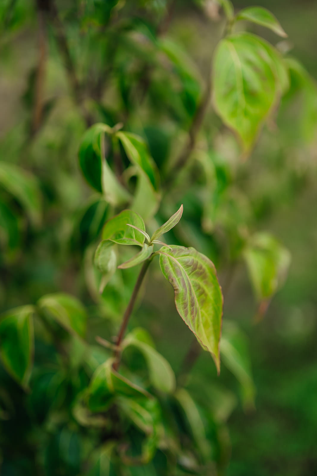 NWT 2024 Stock photos