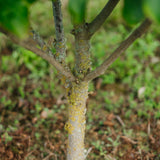 NWT 2024 Stock photos