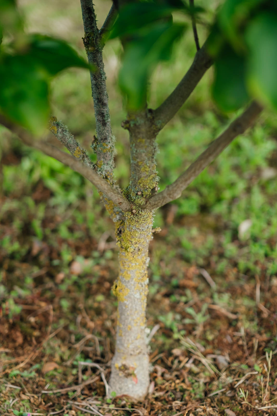 NWT 2024 Stock photos