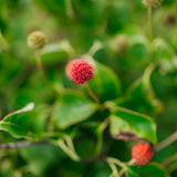 NWT 2024 Stock photos