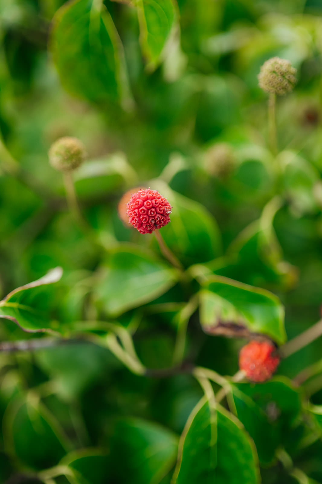 NWT 2024 Stock photos