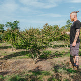 Euonymus alatas NWT Products 25 26 0003 Edit