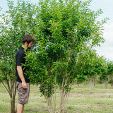 NWT 2024 Stock photos