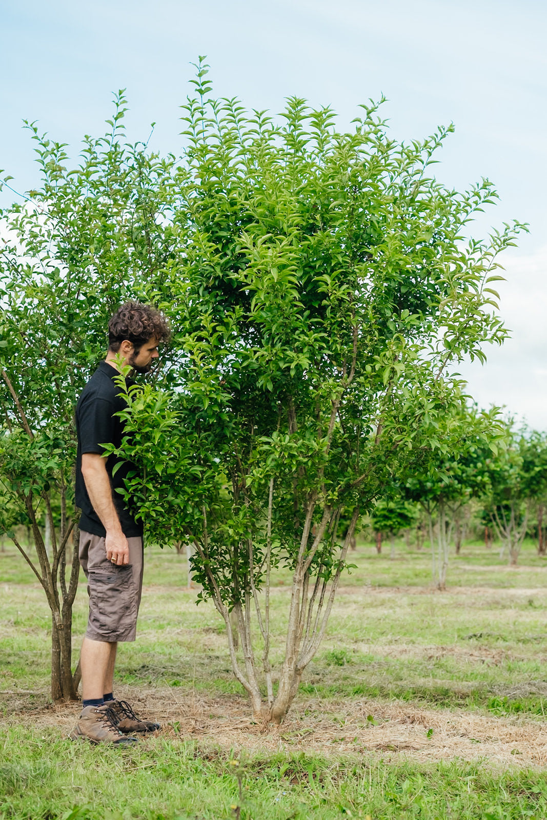 NWT 2024 Stock photos