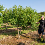 NWT Stock photos 25 26