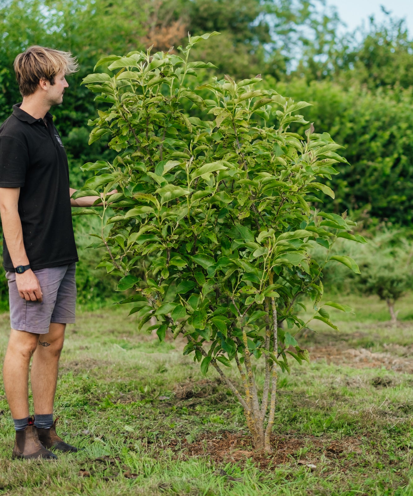 NWT 2024 Stock photos