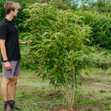 NWT 2024 Stock photos