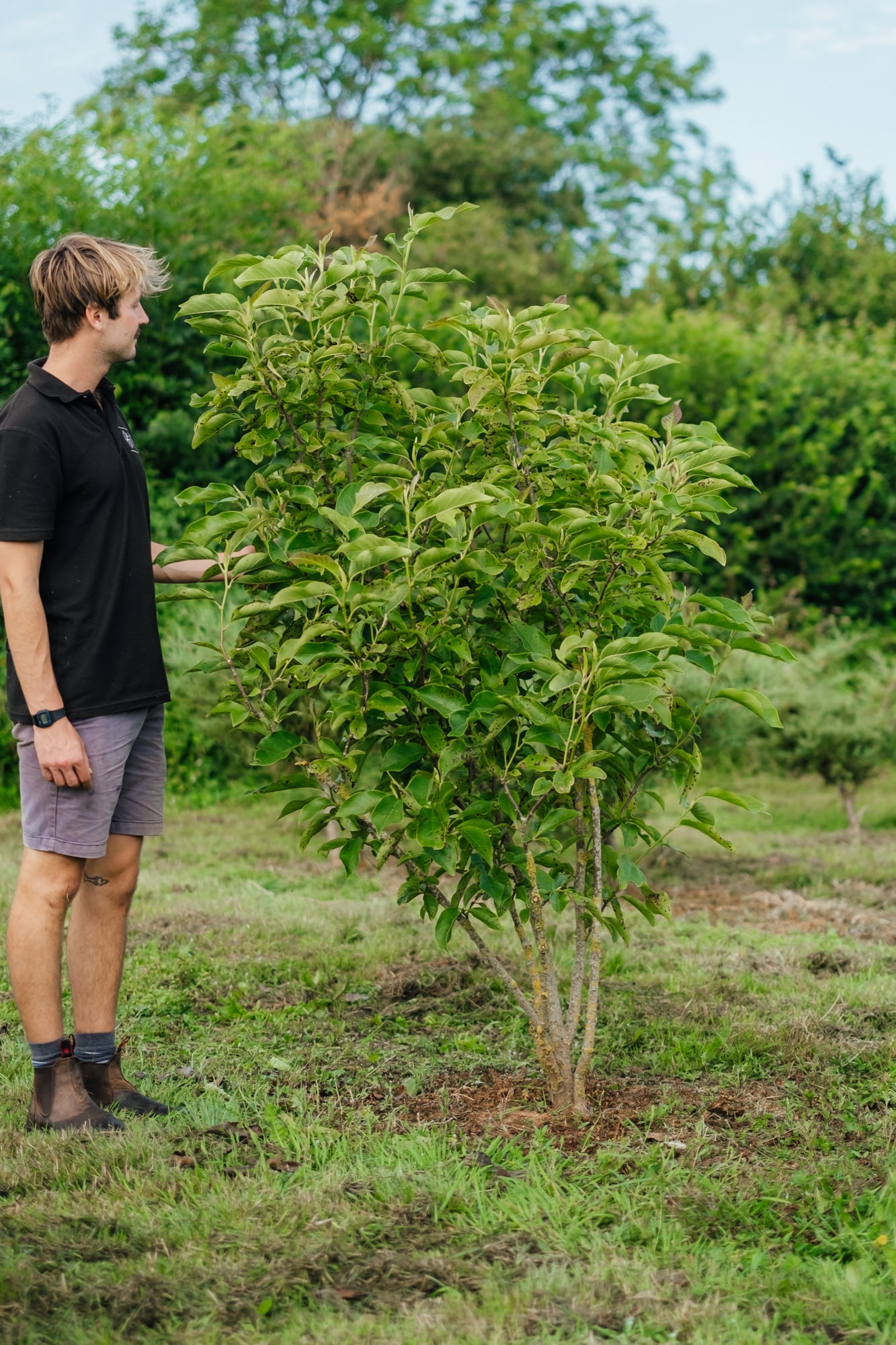 NWT 2024 Stock photos